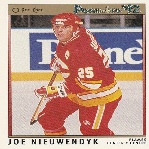 Joe Nieuwendyk Hockey Card Collection - 10 NHL Hockey Cards - Dallas/Calgary - Picture 6 of 11
